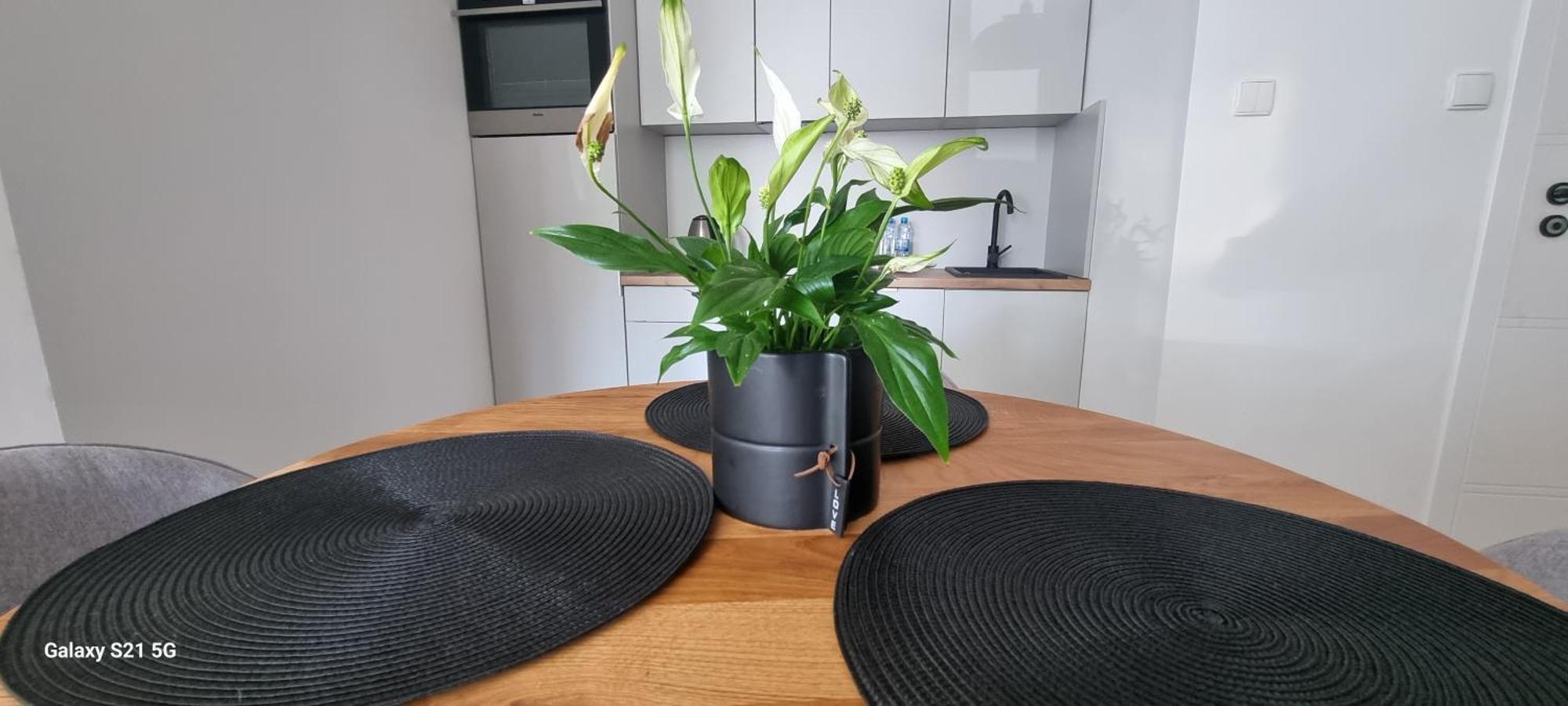 Apartament Moje Dabrowno Dış mekan fotoğraf