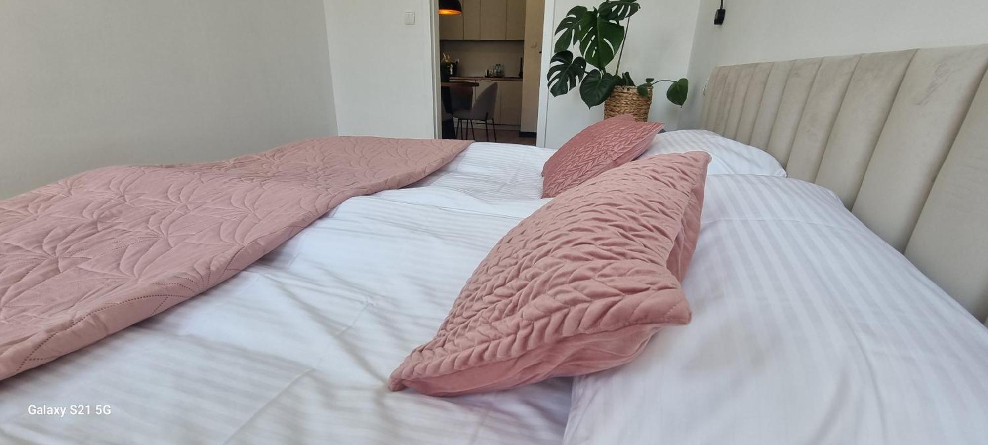 Apartament Moje Dabrowno Dış mekan fotoğraf